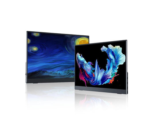 2560x1600 2.5K 13,3 pollici Monitor portatile Display di gioco schermo esterno 60Hz Per PS3