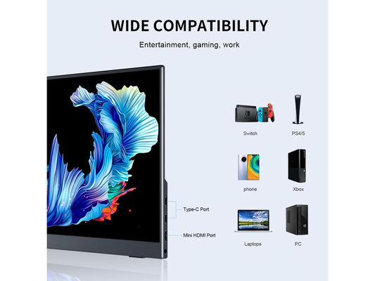2560x1600 2.5K 13,3 pollici Monitor portatile Display di gioco schermo esterno 60Hz Per PS3