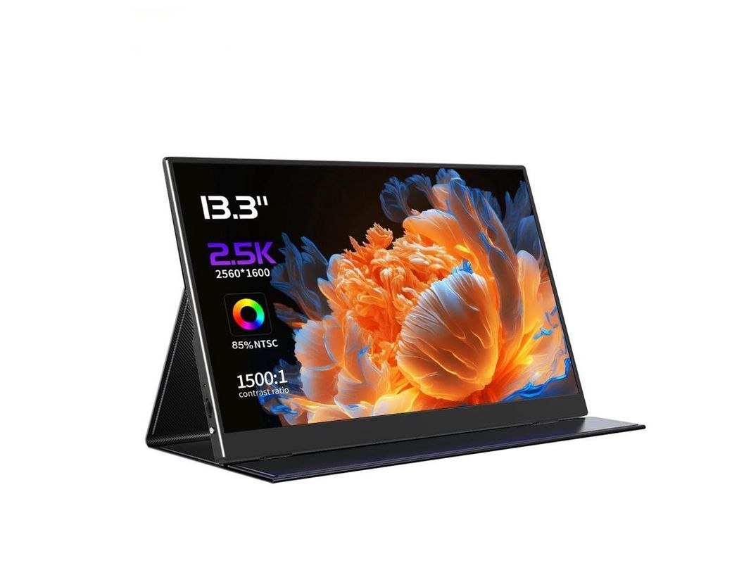 2560x1600 2.5K 13,3 pollici Monitor portatile Display di gioco schermo esterno 60Hz Per PS3